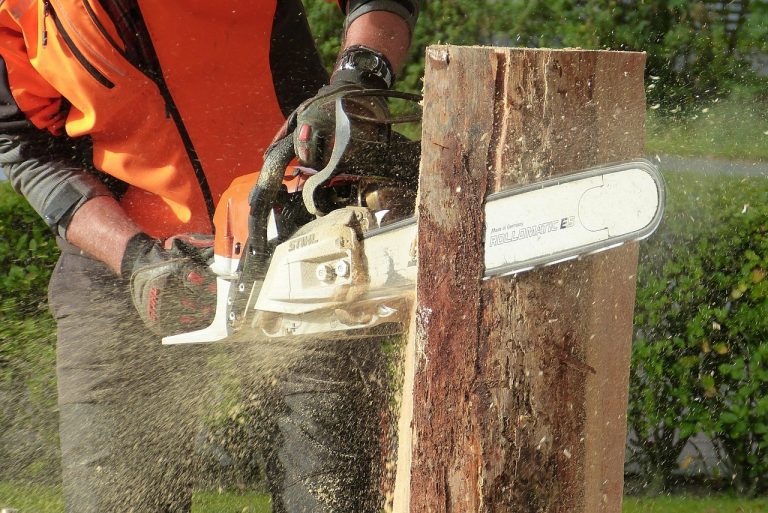 wood, chainsaw, tree, artwork, sculpture, nature, felling, wood art, work, tree pruning