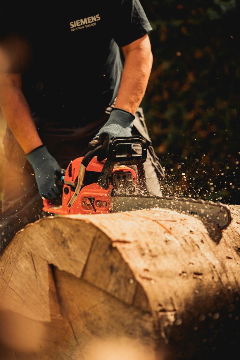 Tree Felling Pretoria